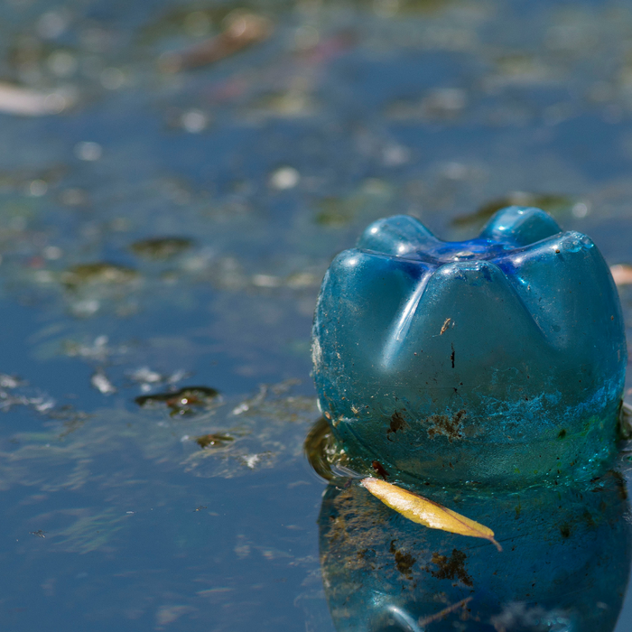 Plastic bottle in water - Walkabout water health