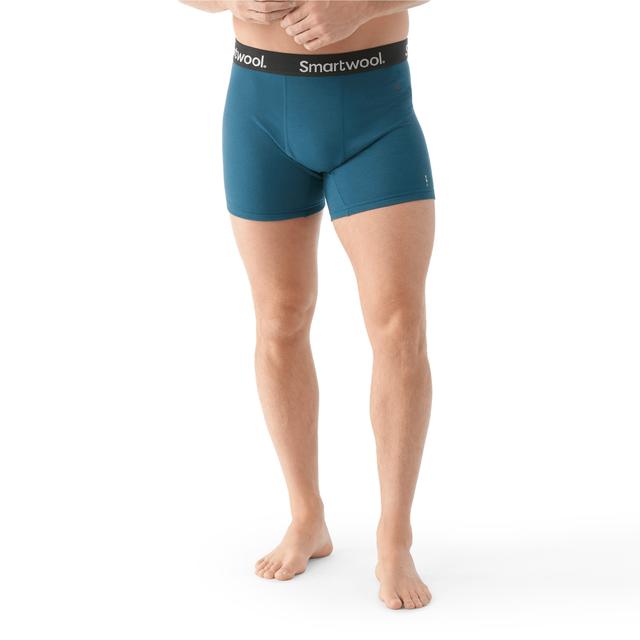 Male Men's Active Boxer Brief Boxed